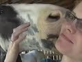 In the Barn with my Boyfriend V