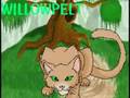 Warrior cats, Thunderclan book 1