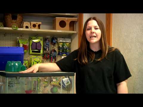 how to take care of a puppy ehow