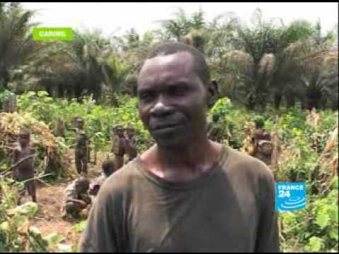pygmy - CARING: At the heart of the Congo forest lives one of the oldest populations in the world, pygmies. They represent around 1% of the population, and are routi...
