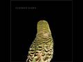 Andrew Bird - Dark matter
