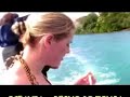 tonga - arcipelago di vava'u . si rincorrono le humpback whales - balene megattere