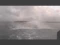 tonga - arcipelago di vava'u . si rincorrono le humpback whales - balene megattere