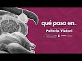 Imagen del vídeo