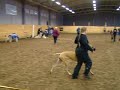 Willow utstallning 071027 del3