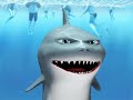 Shark Advice Debute
