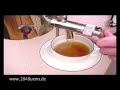 rauschfaktor - aquarium caf�
