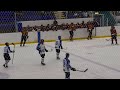 Sheffield Scimitars v Guildford Flames 4th Goal