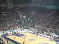Gate 13 - More than 20.000 Panathinaikos fans shaking OAKA