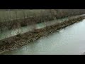 Luftaufnahmen der Reuss in Emmen, aerial video reuss lucerne