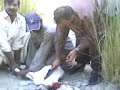 khuzdar picnic 6