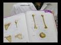videos de Metodista téli országos ifjúsági csendesnap 2008 promo