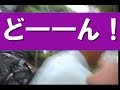 YouTube 動画ポップアップ再生