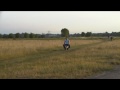 videos de tails and draco on mini moto