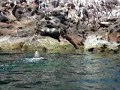 Espiritu Santo - Baja California