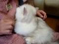 Grooming in morning