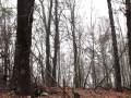 videos de Caldwell's zip line part 2