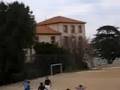 Shampoo al francese (con steccata finale)