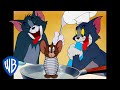 Download Tom Jerry Tom In Full Force Classic Cartoon Compilation Wb Kids Mp3 Song