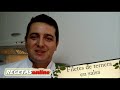Filetes de ternera en salsa - Recetas de cocina online