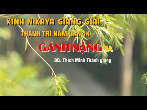 Kinh NIKAYA Giảng Giải - Thánh Trí Năm Uẩn 14 - Gánh Nặng phần 1