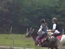 les fille sur le trec