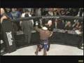 videos de kimbo vs petruzelli