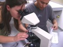 Igneous and Metamorphic Petrology Lab Igneous and Metamorphic Petrology Lab