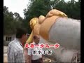 Touching DAP MV