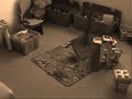 Various Animations