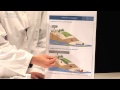 Les nitrates au fil de l'eau 