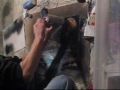 spray paint artist