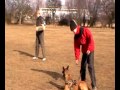 Acrobat_Yabalute_obedience_defence_16m.avi