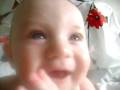 videos de LUCA PRIMER PLANO