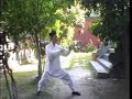 wudang taichi 13shi