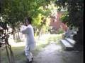 wudang taichi 13shi