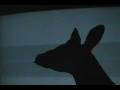 videos de 42