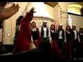Hernan Soleiman y su Ballet de Dabke Ruh Lubnaniah (4)