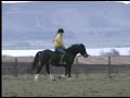 Eywas Lowri learning about being ridden!