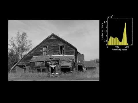 how to draw histogram in c sharp