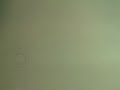 Bouncing Ball - Line test