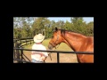 Monty Anderson Custom Homes