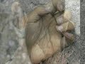 thousands-of-children-students-died-in-sichuan-earthquake-.html