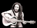 Bob Marley Burnin and Lootin \"Dubbed\"