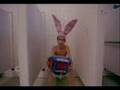 Gummo-Accordion