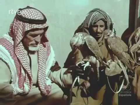 وثائقي عن دولة الكويت الصحراء والبحري