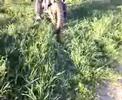 gpr 50 spreetfire dziun part 1