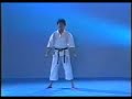 karate shotokan   heian nidan