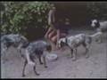 videos de Brigitte Bardot interview 5