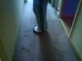 videos de Warren Browne Doing David Blane (levating)